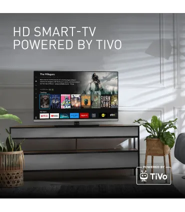 Panasonic TB24S40AEZ - Téléviseur LED HD 24" Argent | Achetez au Meilleur Prix