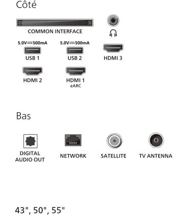 Philips 55PUS7800/12 – TV 55" 4K UHD QLED | Achetez au Meilleur Prix