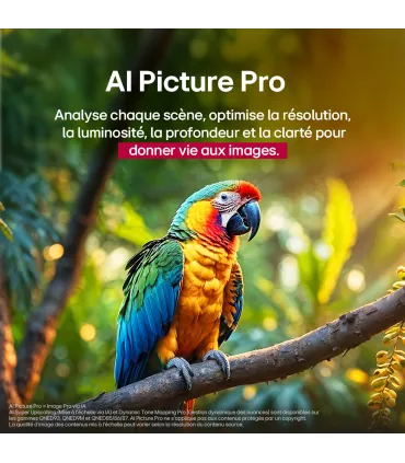 LG 75QNED85A6C 75" 4K UHD QNED | Achetez au Meilleur Prix