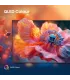 Hisense 65A7Q 65" QLED 4K UHD — TV Smart TV HDR Dolby Vision & Atmos | Achetez en Ligne