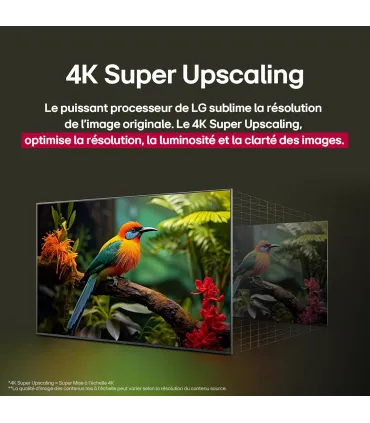 LG 50QNED8EB3F 50" 4K UHD QNED - TV LG | Achetez au Meilleur Prix