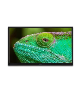 Lenco LED-2463 24" HD LED