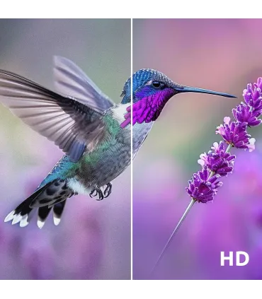 Strong SRT40FG6733C - Téléviseur LED Full HD 40" | Achetez au Meilleur Prix