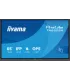 iiyama TN6505A-B1AG 65" 4K UHD IPS IFP – Écran interactif 65 pouces 4K | Haute luminosité, connectivité avancée | iiyama