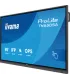 iiyama TN6505A-B1AG 65" 4K UHD IPS IFP – Écran interactif 65 pouces 4K | Haute luminosité, connectivité avancée | iiyama