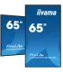 iiyama LH6560UHS-B2AG 65" 4K UHD IPS LED VA – Écran Professionnel Anti-Reflet, HDMI/DP, 24/7, Garantie 3 Ans