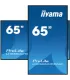 iiyama LH6560UHS-B2AG 65" 4K UHD IPS LED VA – Écran Professionnel Anti-Reflet, HDMI/DP, 24/7, Garantie 3 Ans