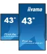 iiyama LH4365UHSB-B1 43" 4K UHD IPS LED VA – Écran Pro Haute Résolution | Prix et Dispo