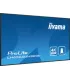 iiyama LH6565UHSB-B1 65" 4K UHD IPS LED VA – Écran Professionnel | Prix & Achat en Ligne