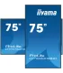 iiyama LH7565UHSB-B1 75" 4K UHD IPS LED VA – Écran Professionnel Haute Résolution pour Affichage Dynamique