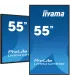 iiyama LH5541UHS-B2 55" 4K UHD IPS LED VA – Écran Professionnel 3840x2160, HDMI/DP, Affichage Dynamique