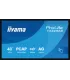 iiyama T4329AS-B1AG 43" 4K UHD IPS LED VA – Écran Professionnel Haute Résolution | Boutique en Ligne