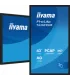 iiyama T4329AS-B1AG 43" 4K UHD IPS LED VA – Écran Professionnel Haute Résolution | Boutique en Ligne