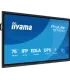 iiyama TE7515A-B1AG 75" 4K UHD IPS LED VA – Écran interactif 75 pouces, Ultra HD 4K, haute luminosité | Meilleur prix