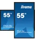 iiyama TF5539AS-B1AG 55" – Écran 4K UHD IPS LED VA | Haute Résolution, Grand Format, Performance Pro