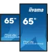 iiyama TF6539AS-B1AG 65" – Écran 4K UHD IPS LED VA | Tactile Anti-Reflets, Android, Haute Luminosité