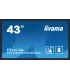 iiyama TF4339AS-B1AG 43" 4K UHD IPS LED – Écran Tactile Professionnel, Android, Anti-Reflets, HDMI/DP, Idéal Signalétique & Kios