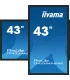iiyama TF4339AS-B1AG 43" 4K UHD IPS LED – Écran Tactile Professionnel, Android, Anti-Reflets, HDMI/DP, Idéal Signalétique & Kios