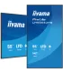 iiyama LH5564UHS-B1AG 55" – Écran 4K UHD IPS/LED VA | Haute Luminosité, Anti-Reflets, HDMI/DP | Meilleur Prix