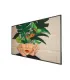 Philips Professionnel D-Line 55BDL4511D/00 – Écran 55" 4K UHD LED | Affichage Dynamique | Haute Luminosité & Fiabilité