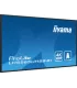 iiyama LH5565UHSB-B1 55" 4K UHD IPS LED VA – Écran professionnel 55 pouces | Haute résolution, couleurs précises, connectivité a