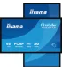 iiyama T6529AS-B1AG 65" 4K UHD IPS LED VA – Écran professionnel haute résolution, couleurs vives et large angle de vue