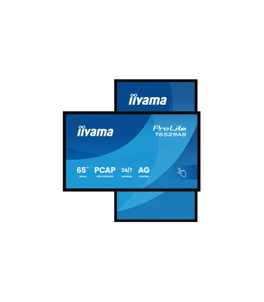iiyama T6529AS-B1AG 65" 4K UHD IPS LED VA – Écran professionnel haute résolution, couleurs vives et large angle de vue