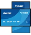 iiyama T6529AS-B1AG 65" 4K UHD IPS LED VA – Écran professionnel haute résolution, couleurs vives et large angle de vue