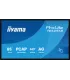 iiyama T6529AS-B1AG 65" 4K UHD IPS LED VA – Écran professionnel haute résolution, couleurs vives et large angle de vue