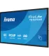 iiyama T6529AS-B1AG 65" 4K UHD IPS LED VA – Écran professionnel haute résolution, couleurs vives et large angle de vue
