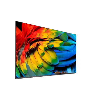Philips Professionnel MediaSuite 50HFL6214U/12 — TV 50" 4K UHD LED | Smart TV Hôtel | HDMI | Wi-Fi | Meilleur Prix