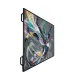 Philips Professionnel Q-Line 55BDL3511Q/00 – Écran 55" 4K UHD IPS LED | Affichage Dynamique Commercial